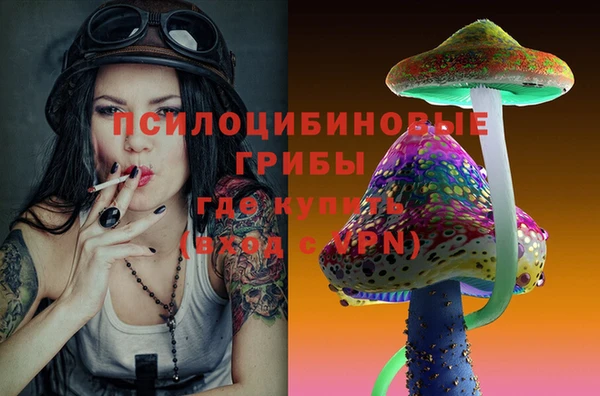 мяу мяу мука Белокуриха