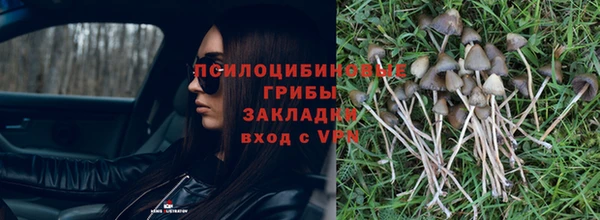 ГАЛЛЮЦИНОГЕННЫЕ ГРИБЫ Баксан
