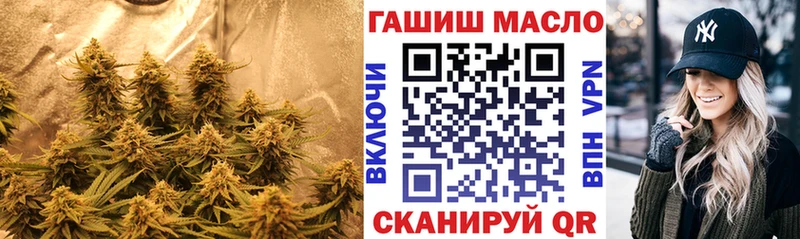 Купить  Кяхта  Дистиллят ТГК гашишное масло 