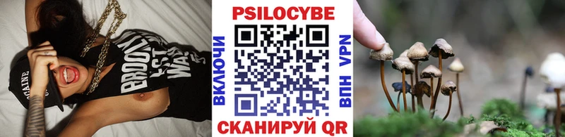 Купить  Кяхта  Галлюциногенные грибы MAGIC MUSHROOMS 